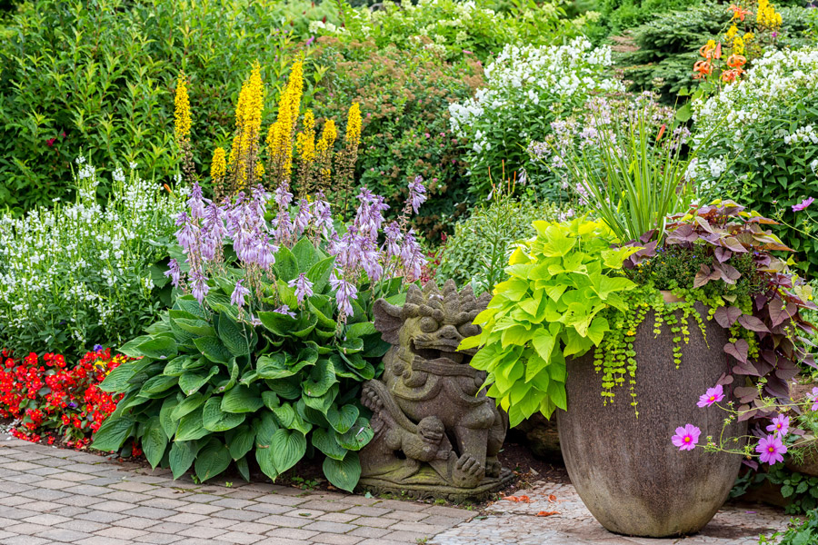 Gartenparadies