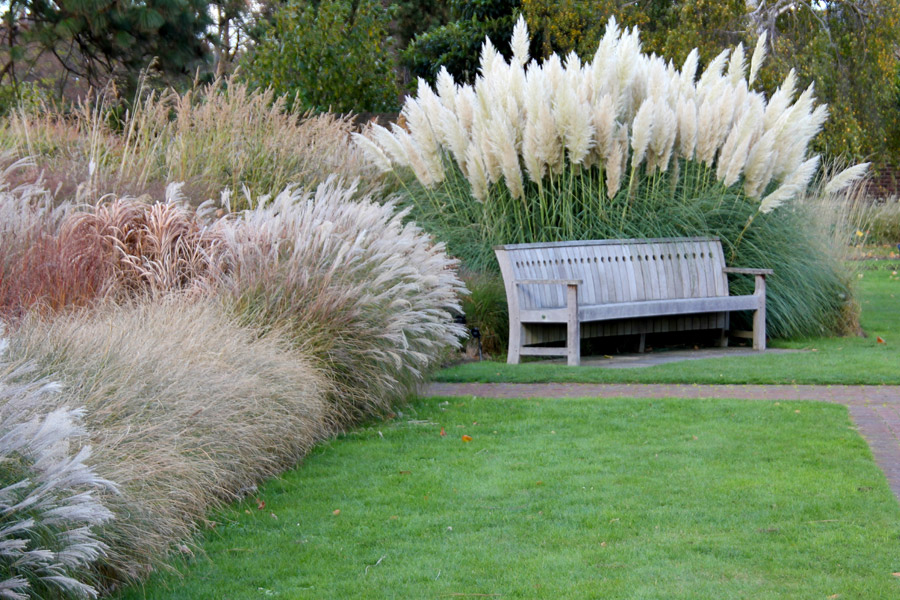 Gartenparadies