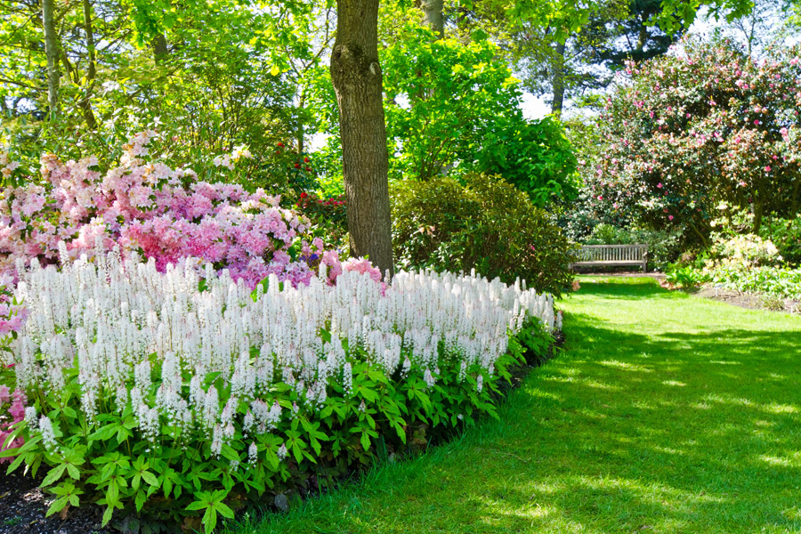 Gartenparadies