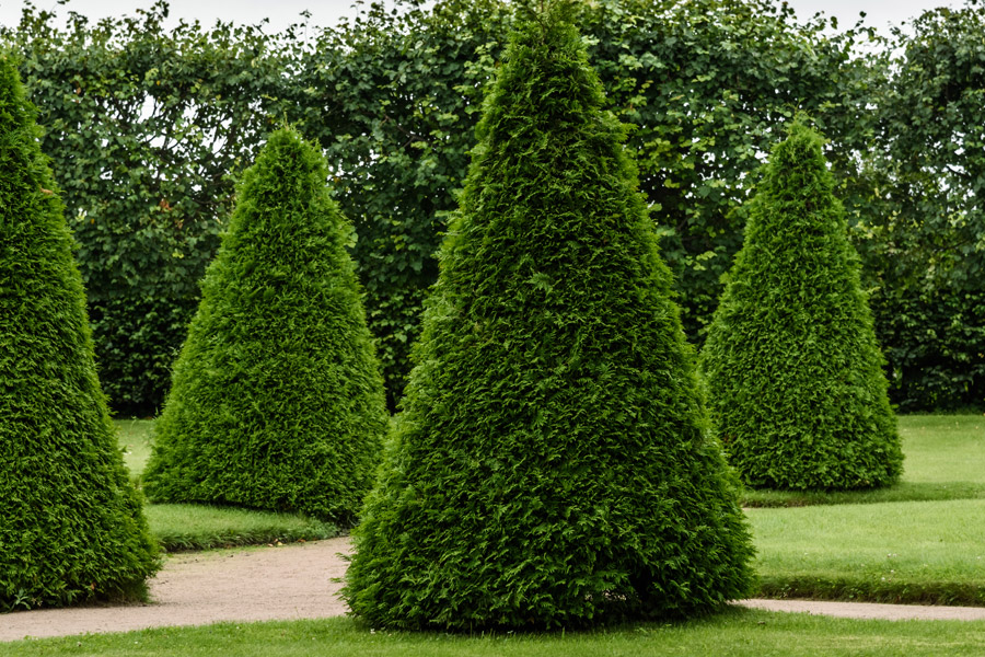 Gartenparadies