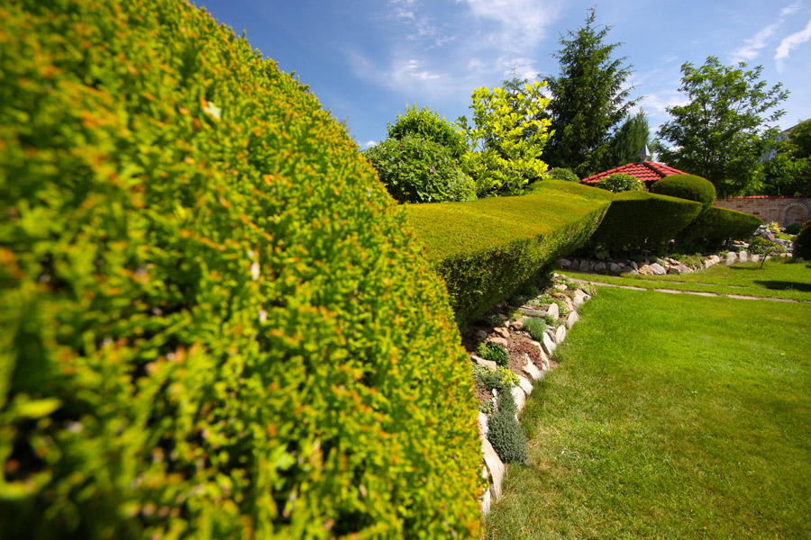 Gartenparadies