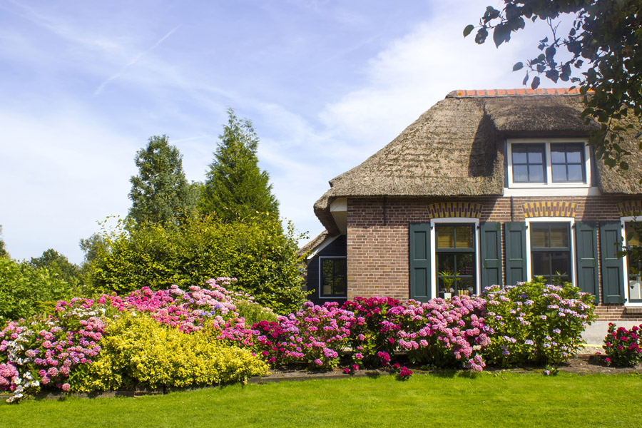 Gartenparadies