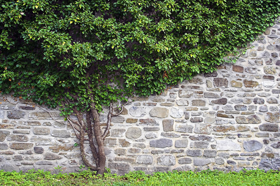 Gartenparadies