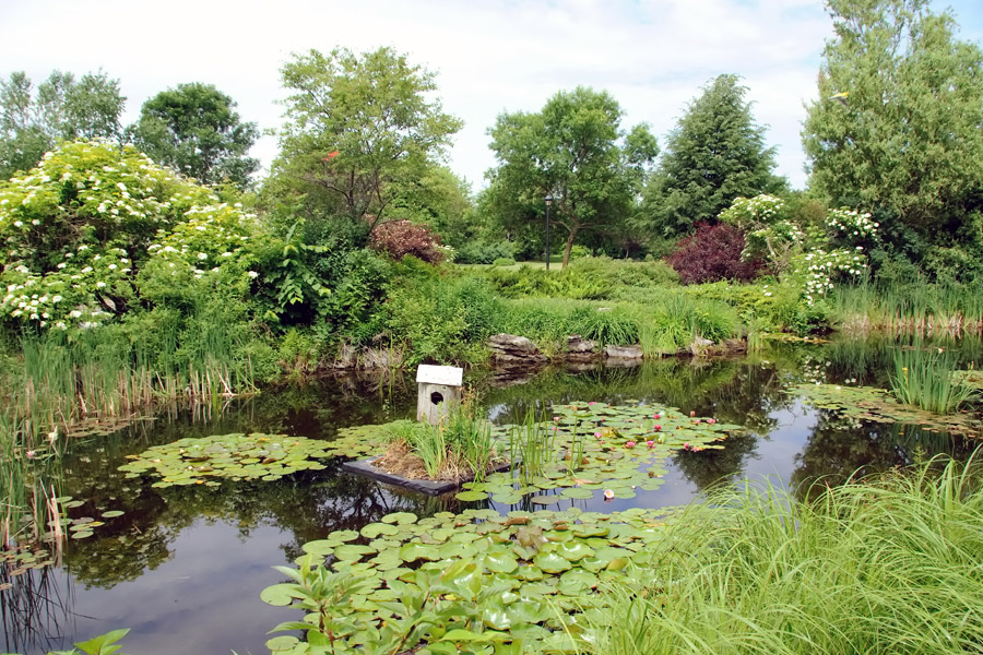 Gartenteich