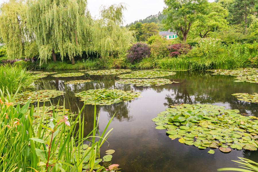Gartenteich
