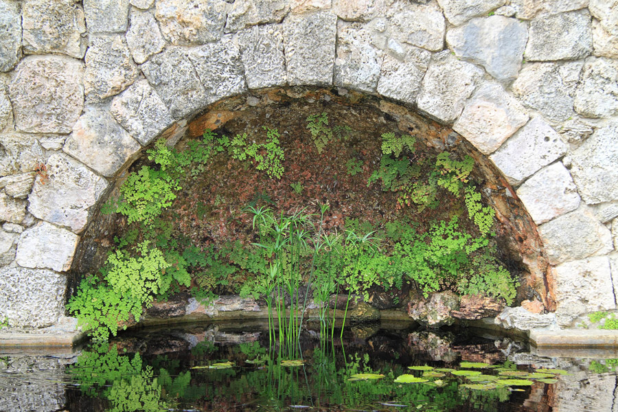 Gartenteich