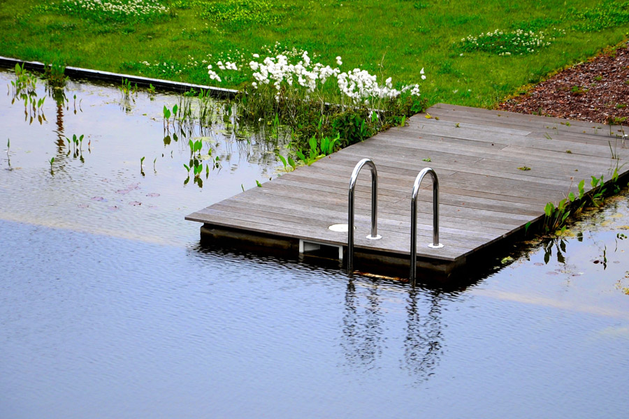Gartenteich