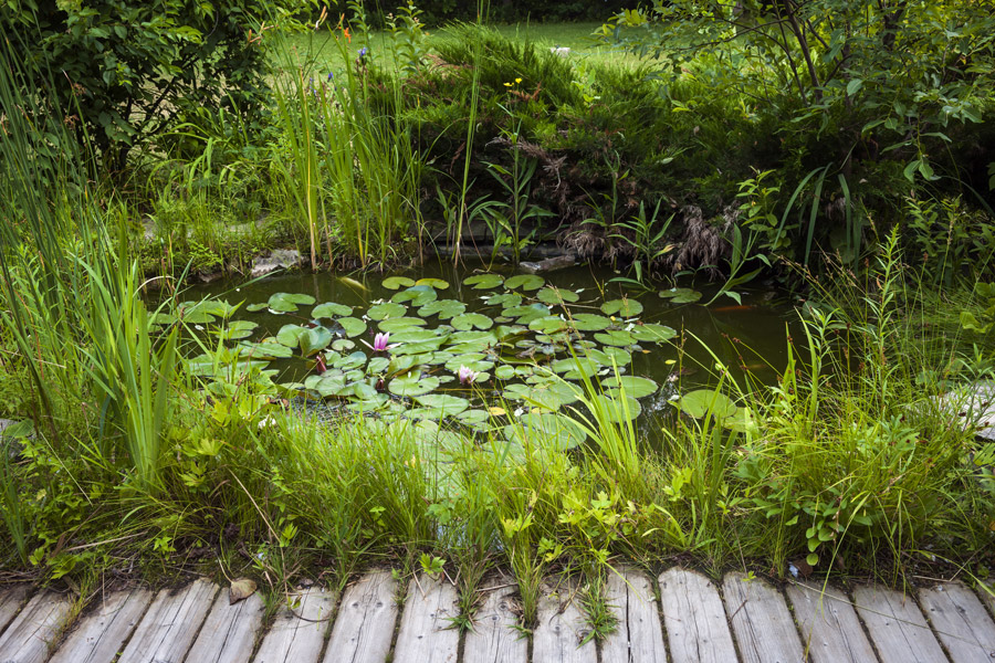 Gartenteich