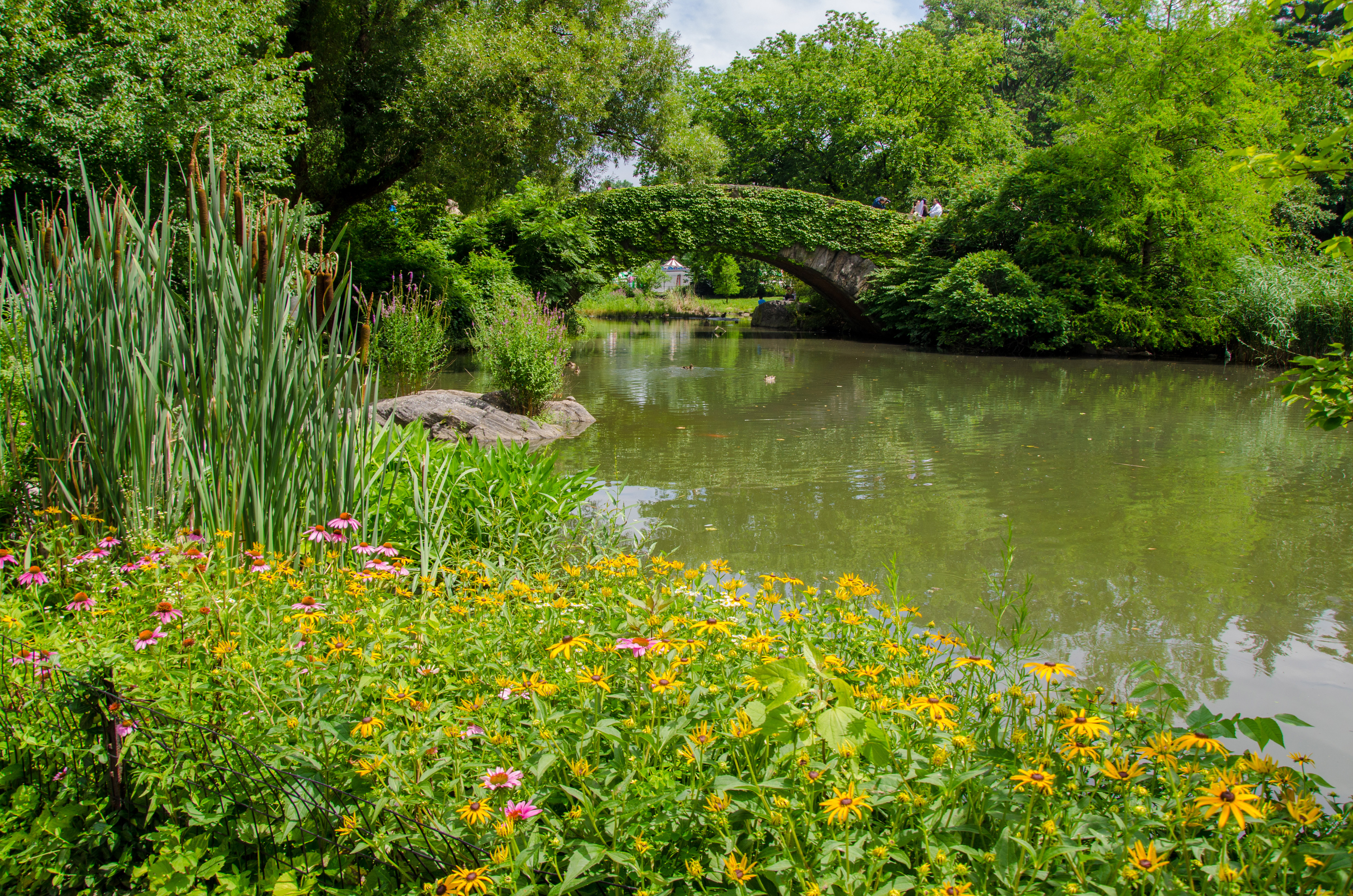 Gartenteich