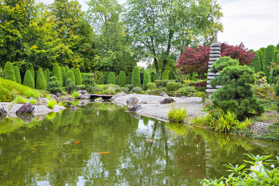 Gartenteich