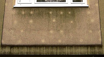 Fassade
